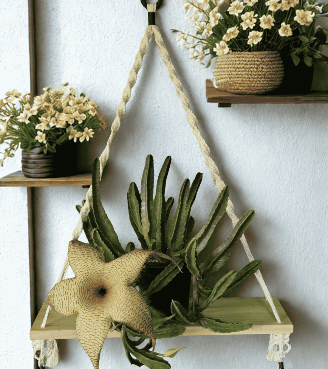 Repisa macrame con nudo espiral