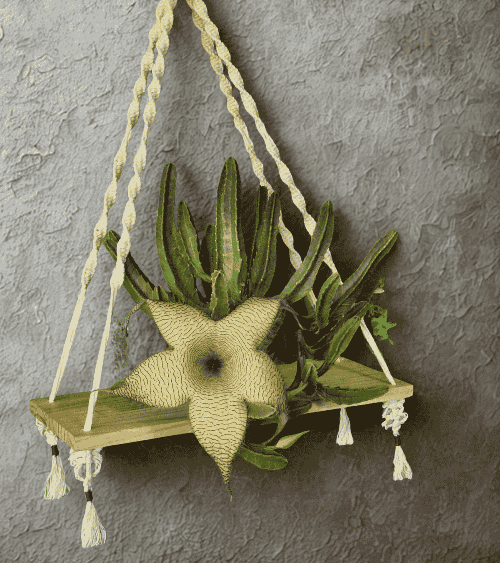 Repisa macrame con nudo espiral