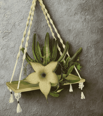 Repisa macrame con nudo espiral