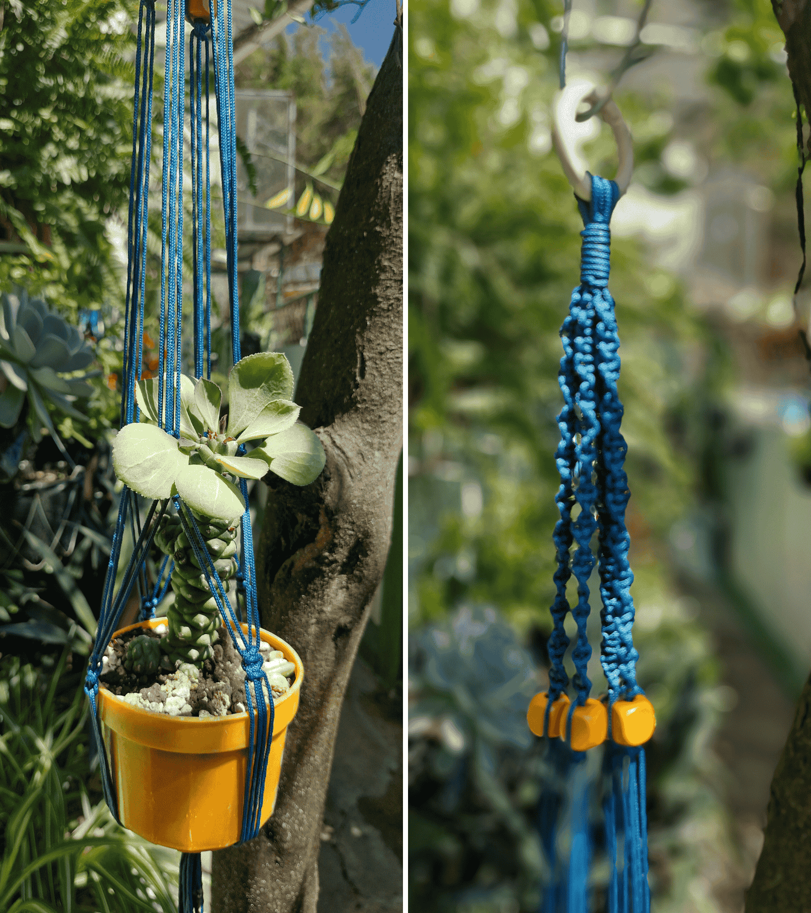 Portamaceta de macramé estilo bohemio para plantas hecho a mano en El Salvador