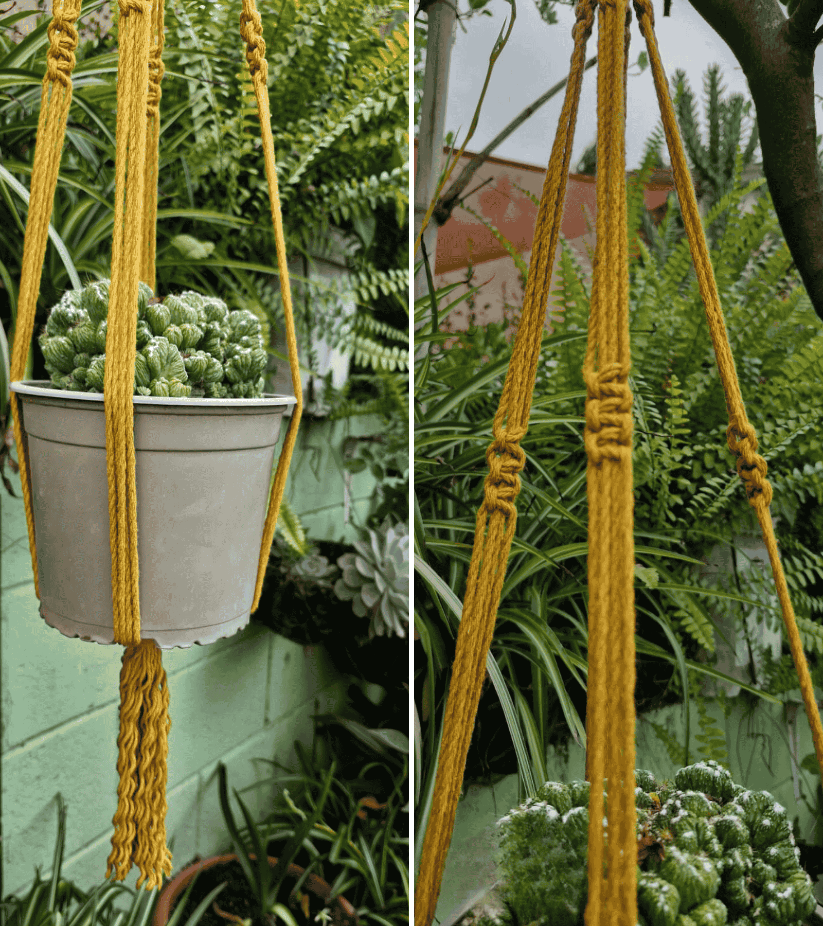 portamaceta de macramé estilo bohemio hecho a mano en El Salvador, colgado en una pared blanca.