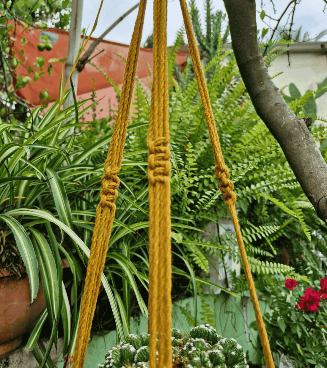  portamaceta de macramé estilo bohemio hecho a mano en El Salvador.