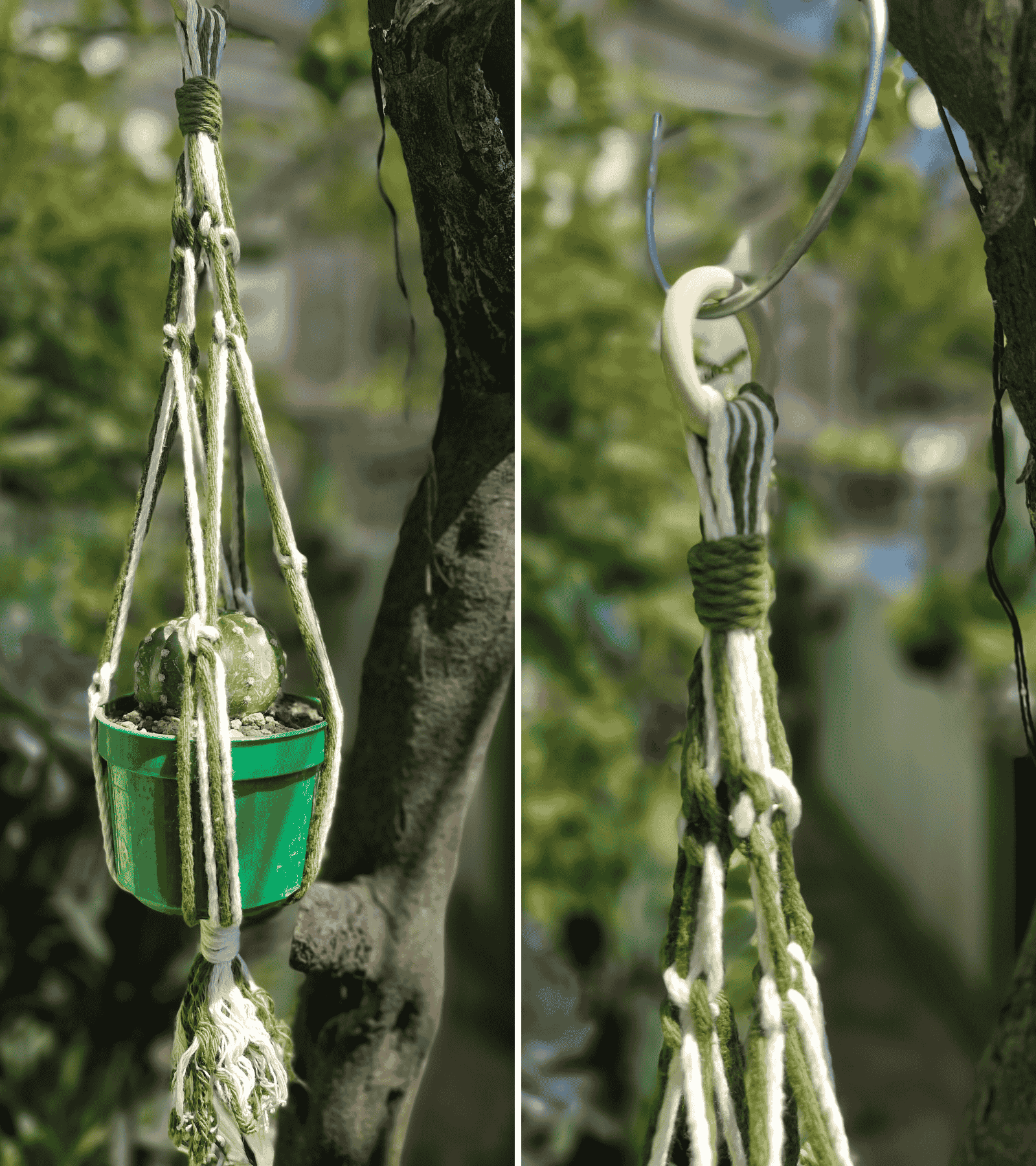 Portamaceta de macramé estilo bohemio para plantas  hecho a mano en El Salvador, colgado en una pared blanca.