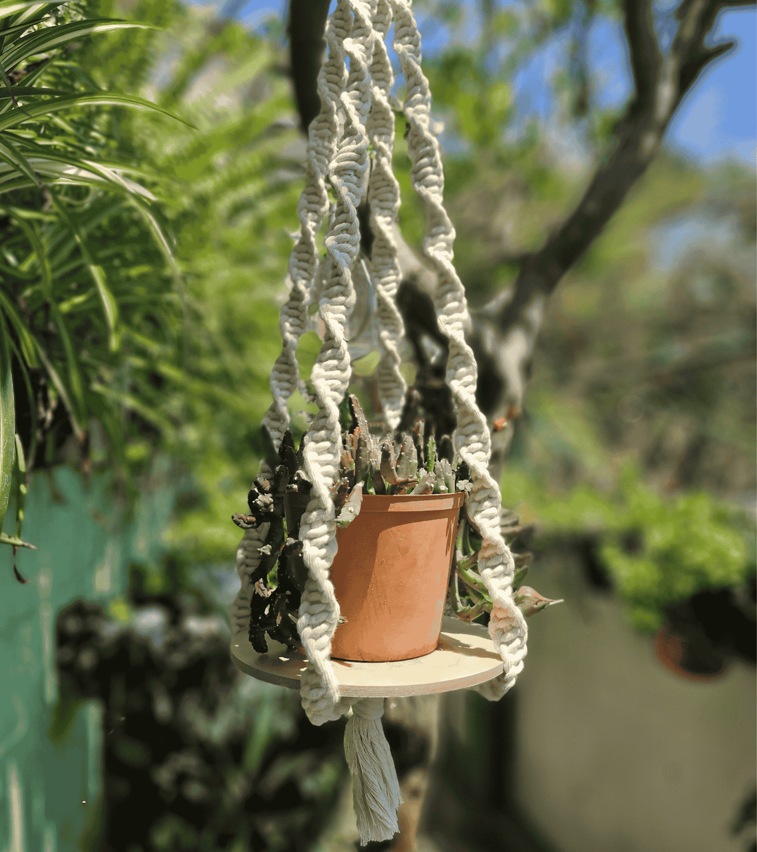 Portamaceta de macramé estilo bohemio hecho a mano en El Salvador