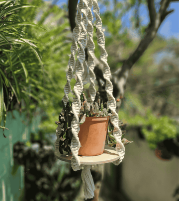 Portamaceta de macramé estilo bohemio hecho a mano en El Salvador