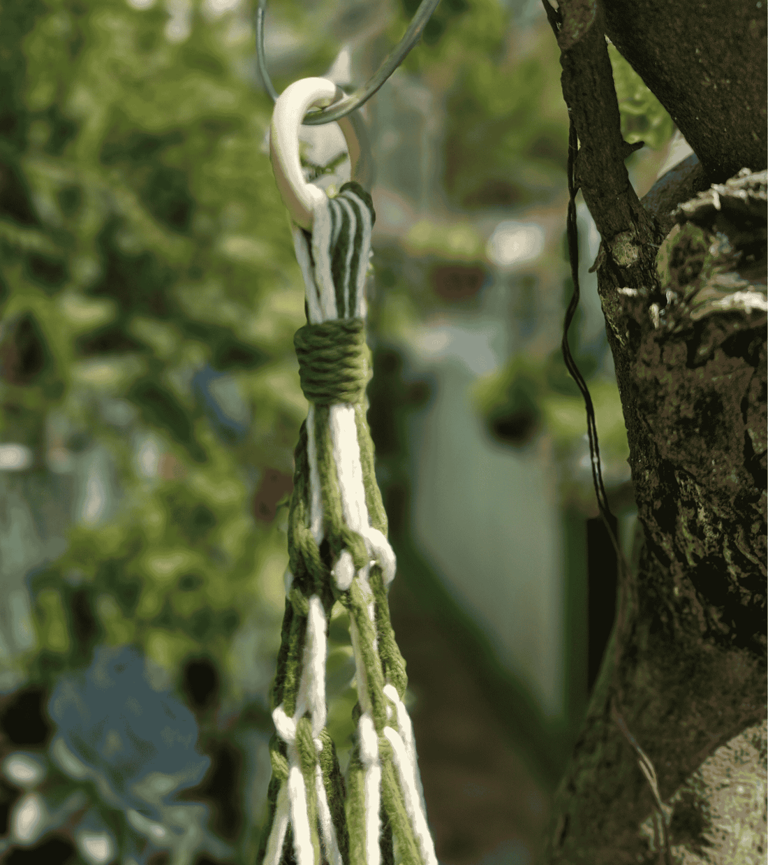 Portamaceta de macramé estilo bohemio para plantas hecho a mano en El Salvador