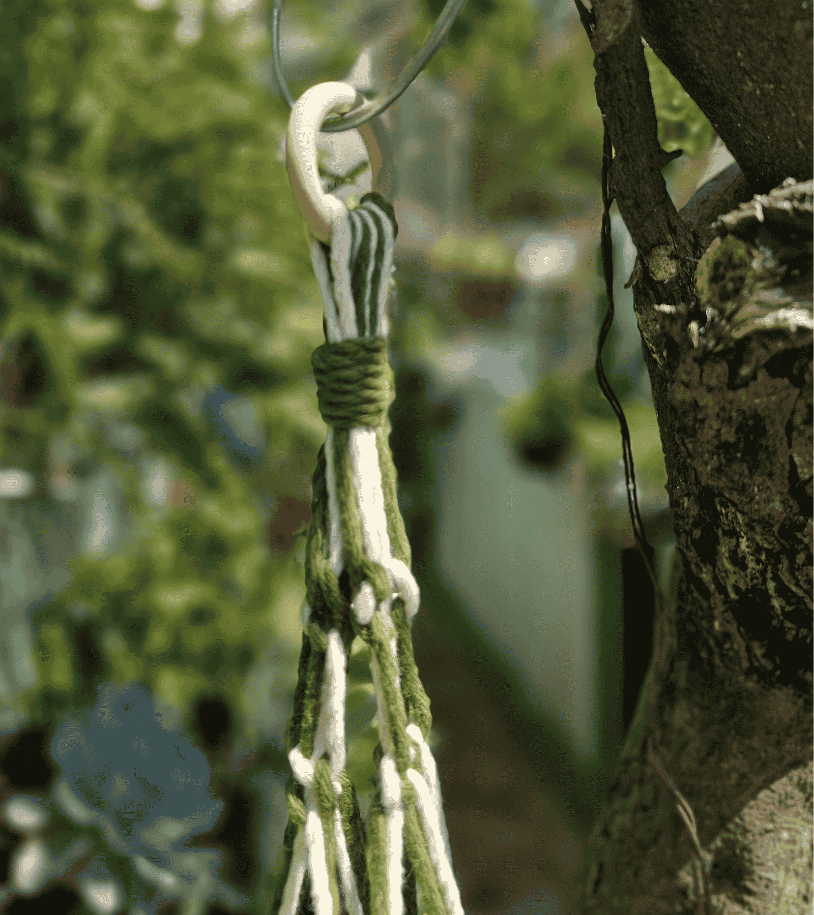 Portamaceta de macramé estilo bohemio para plantas hecho a mano en El Salvador, colgado en una pared blanca.