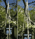 Portamaceta de macramé estilo bohemio para plantas hecho a mano en El Salvador. 
