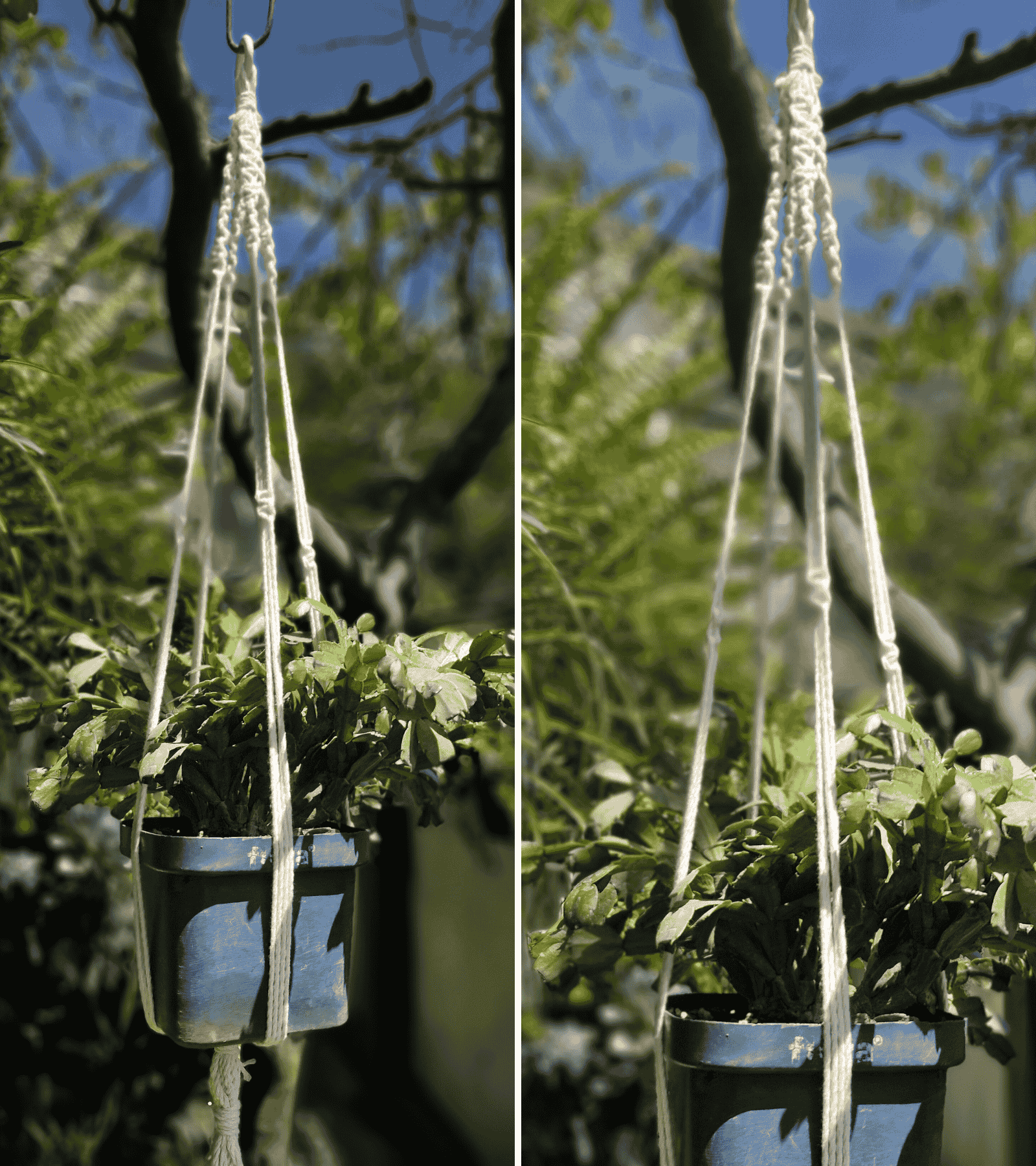 Portamaceta de macramé estilo bohemio para plantas hecho a mano en El Salvador. 