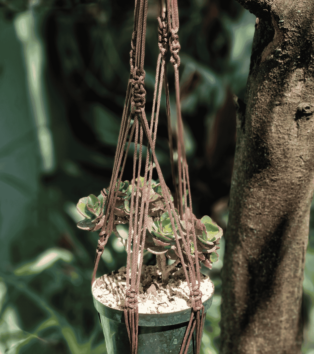 portamaceta de macramé estilo bohemio hecho a mano en El Salvador, 