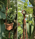 Portamaceta de macramé estilo bohemio para plantas hecho a mano en El Salvador