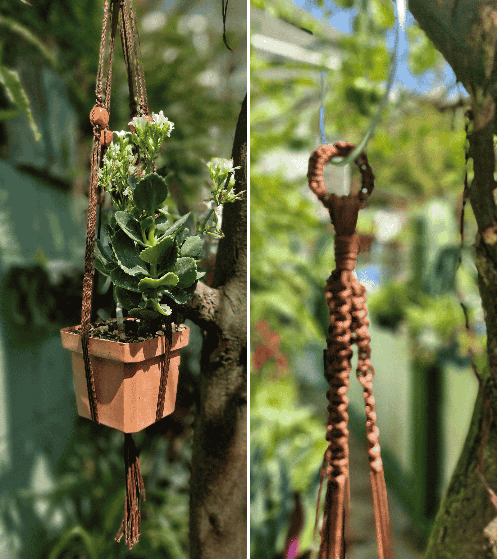Portamaceta de macramé estilo bohemio para plantas hecho a mano en El Salvador